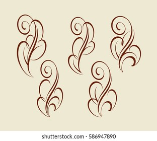 Floral design elements.Brown .Vector illustration.