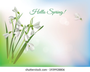 Diseño floral con las primeras flores primaverales galanthus o gotas de nieve. Ilustración vectorial para el diseño de sitios web, banner, tarjeta, otros con un lugar para una inscripción.