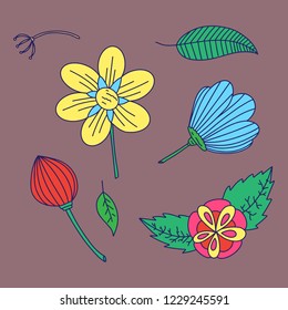 Floral design, handdrawn plants flowers leafs doodle style