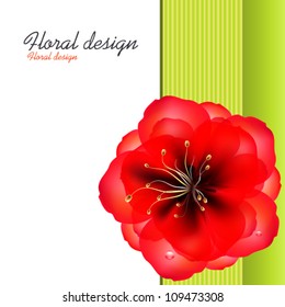 Floral design, the idea for the design of business cards, labels, invitations. Poppy