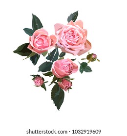Floral design illustration. Garden flower pink rose isolated on white background. Elegant bouquet print in rustic style. Wedding invitation card template.