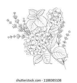 Floral design of lavender and hydrangea isolated over white background. Spring bouquet of flowers in line sketch style. Vector illustration