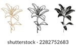 Floral design lilly flower set, hand drawn line art for invitations or card