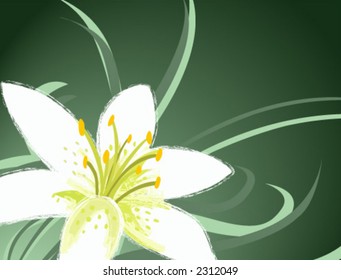 Diseño floral: Lily - Vector