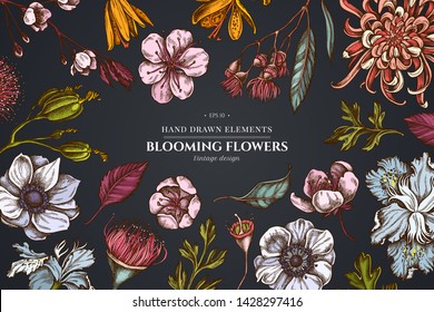 Floral design on dark background with japanese chrysanthemum, blackberry lily, eucalyptus flower, anemone, iris japonica, sakura