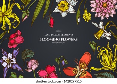 Floral design on dark background with ylang-ylang, impatiens, daffodil, tigridia, lotus, aquilegia