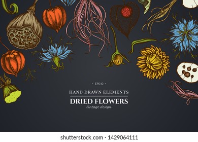 Floral design on dark background with black caraway, feather grass, helichrysum, lotus, lunaria, physalis