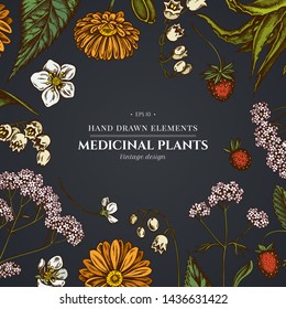 Floral design on dark background with aloe, calendula, lily of the valley, nettle, strawberry, valerian
