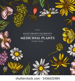 Diseño floral sobre fondo oscuro con celandina, manzanilla, rosa de perro, lúpulo, alcachofa jerusalén, menta