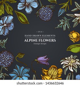 Floral design on dark background with bellflower, edelweiss, globethistle, globeflower, meadow geranium, gentiana