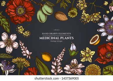 Floral design on dark background with almond, dandelion, ginger, poppy flower, passion flower, tilia cordata