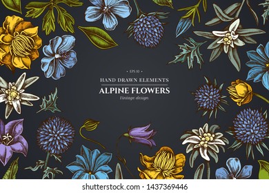 Floral design on dark background with bellflower, edelweiss, globethistle, globeflower, meadow geranium, gentiana