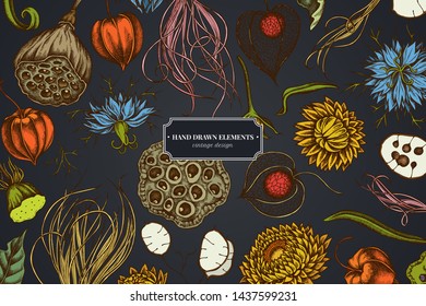 Floral design on dark background with black caraway, feather grass, helichrysum, lotus, lunaria, physalis