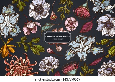 Floral design on dark background with japanese chrysanthemum, blackberry lily, eucalyptus flower, anemone, iris japonica, sakura