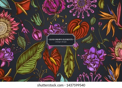Floral design on dark background with african daisies, fuchsia, gloriosa, king protea, anthurium, strelitzia
