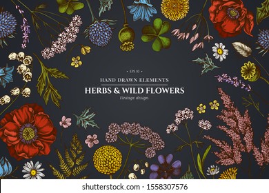 Floral design on dark background with shepherd's purse, heather, fern, wild garlic, clover, globethistle, gentiana, astilbe, craspedia, lagurus, black caraway, chamomile, dandelion, poppy flower, lily