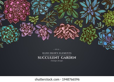 Floral design on dark background with succulent echeveria, succulent echeveria, succulent