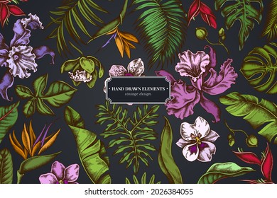 Floral design on dark background with monstera, banana palm leaves, strelitzia, heliconia, tropical palm leaves, orchid