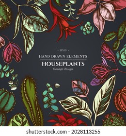 Floral design on dark background with ficus, iresine, kalanchoe, calathea, guzmania, cactus