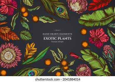 Floral design on dark background with banana palm leaves, hibiscus, solanum, bromeliad, peacock feathers, protea