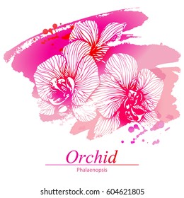 Floral design with orchid flowers. Artistic vector background (template) for your card, flyer, invitation etc.
