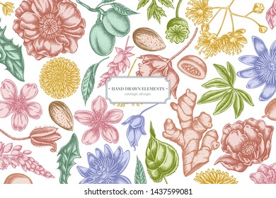 Floral design with pastel almond, dandelion, ginger, poppy flower, passion flower, tilia cordata