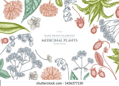 Floral design with pastel aloe, calendula, lily of the valley, nettle, strawberry, valerian