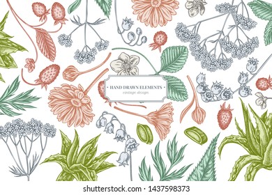 Floral design with pastel aloe, calendula, lily of the valley, nettle, strawberry, valerian