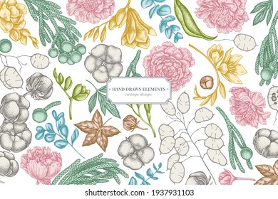 Floral design with pastel ficus, eucalyptus, peony, cotton, freesia, brunia