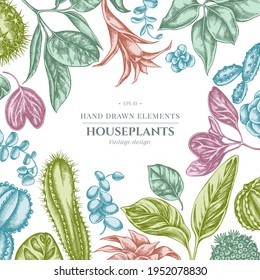 Floral design with pastel ficus, iresine, kalanchoe, calathea, guzmania, cactus