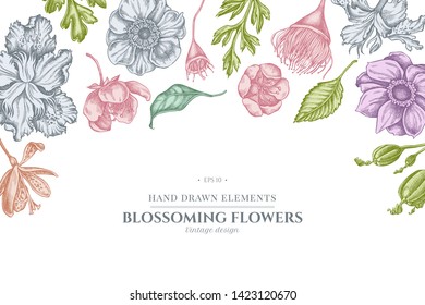 Floral design with pastel japanese chrysanthemum, blackberry lily, eucalyptus flower, anemone, iris japonica, sakura