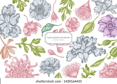 Floral design with pastel japanese chrysanthemum, blackberry lily, eucalyptus flower, anemone, iris japonica, sakura