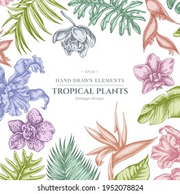 Floral design with pastel monstera, banana palm leaves, strelitzia, heliconia, tropical palm leaves, orchid
