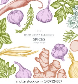 Floral design with pastel onion, garlic, pepper, greenery, ginger, basil, rosemary