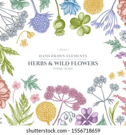 Floral design with pastel shepherd's purse, heather, fern, wild garlic, clover, globethistle, gentiana, astilbe, craspedia, lagurus, black caraway, chamomile, dandelion, poppy flower, lily of the
