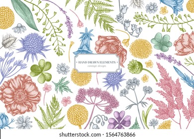 Floral design with pastel shepherd's purse, heather, fern, wild garlic, clover, globethistle, gentiana, astilbe, craspedia, lagurus, black caraway, chamomile, dandelion, poppy flower, lily of the