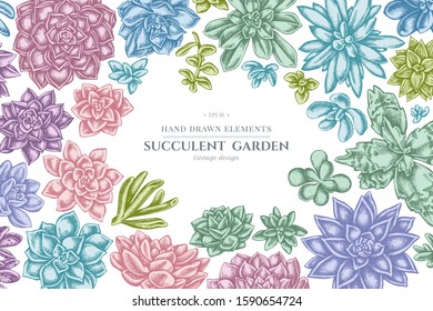 Floral design with pastel succulent echeveria, succulent echeveria, succulent