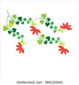 Floral Design Pattern with red flowers and green leaves on white color background.