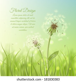 Floral design poster of dandelion with pollens on green grass background vector illustration