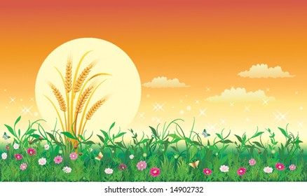 Floral design series
