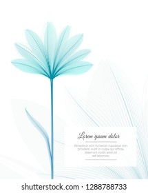 Floral design template. Flower x-ray effect. Greeting card ot advertising flyer