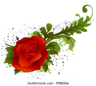 Floral Design - Vector