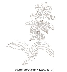 Floral design, vector illustration