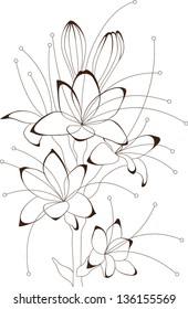 Floral design, vector illustration