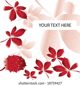 Floral design. Vector illustration