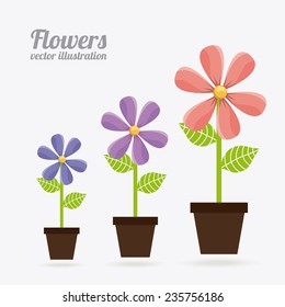 floral  design , vector illustration