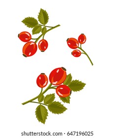 Floral designs on a white background. Design elements for greeting cards, invitations, frames.