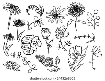 floral doodle collection of vector sketches