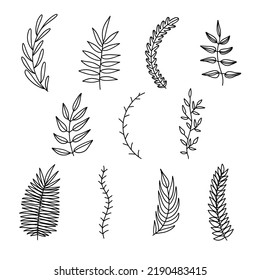 Elementos decorativos de hojas de doodle floral. Arte de línea de vector. Establecer colección.