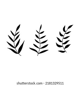 Floral doodle decorative leaves. Vector elements.